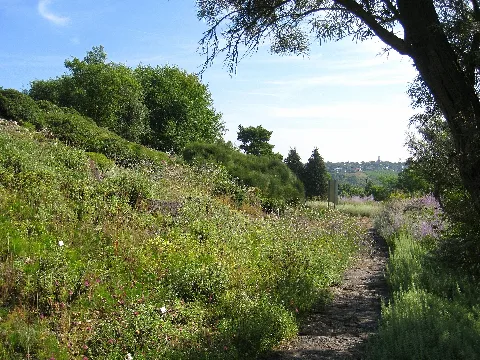 Botanischer Garten Der Universität Würzburg Img 6847