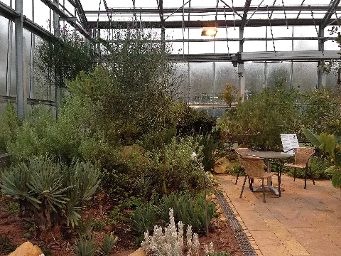 Botanischer Garten Düsseldorf Südafrika 4