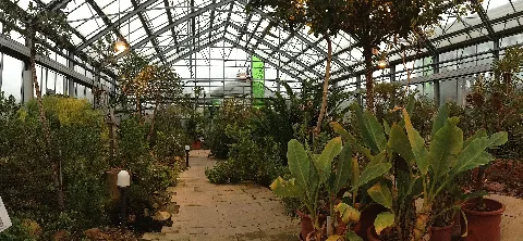 Botanischer Garten Düsseldorf Südafrika Haus (Panorama)