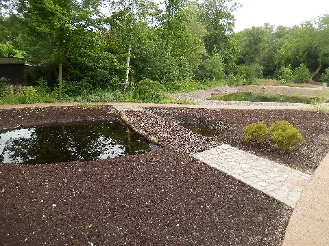 Botanischer Garten Wilhelmshaven 8500