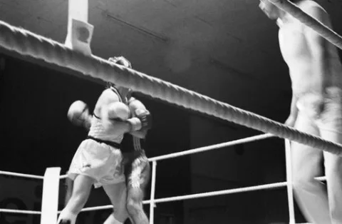 Boxkampf