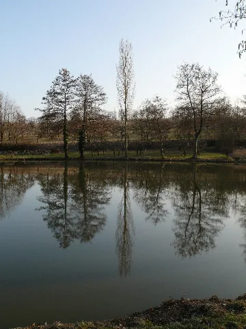 Brackenheim Stockheim Fischteich Am Wurmbach Von N Baumreflexion