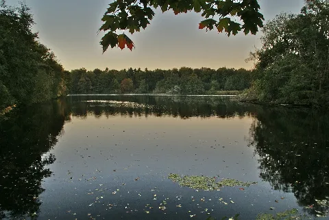 Bramfelder See Harfst