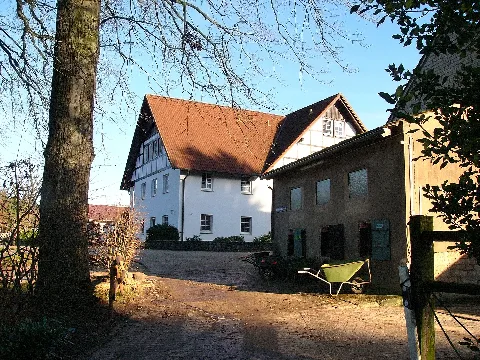 Brandsheide04