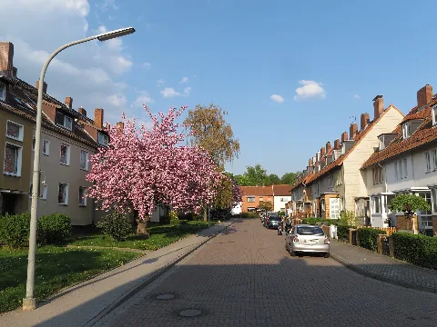 Braunschweig Lindenberg