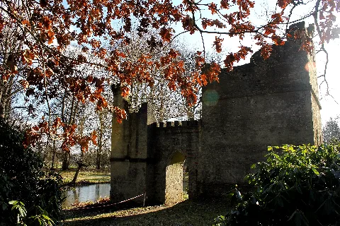Breidings Garten 2015 (38) (16442864905)