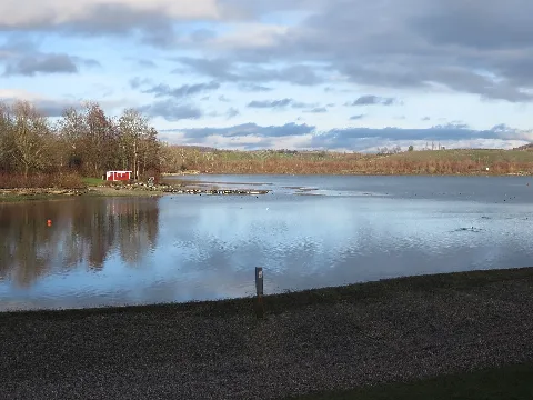 Breitenauer See 2020 12 29 05