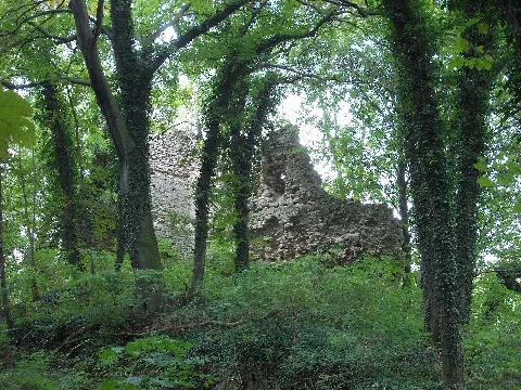 Breitenbachkempe2