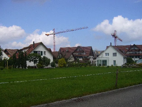 Breiteoastri
