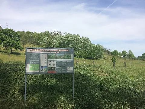 Brembacherweinberge