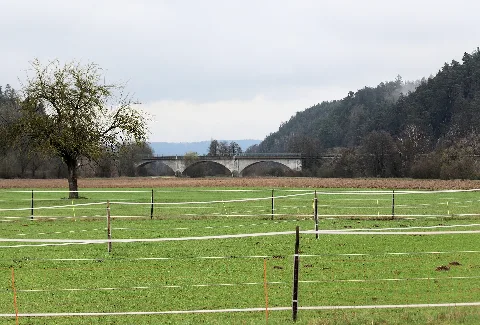 Brensdorf 2023 13