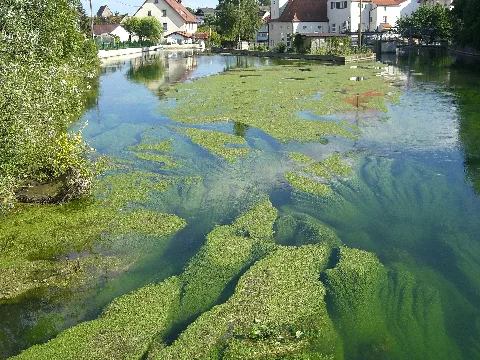 Brenz Bei Hermaringen Panoramio
