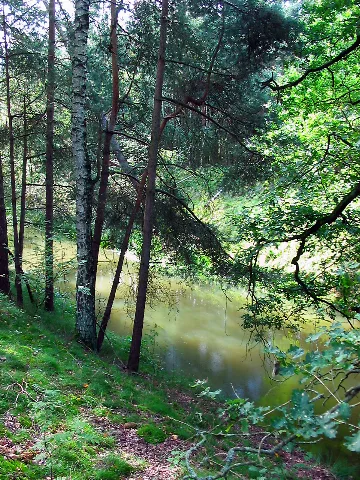 Brenzer Kanal 2