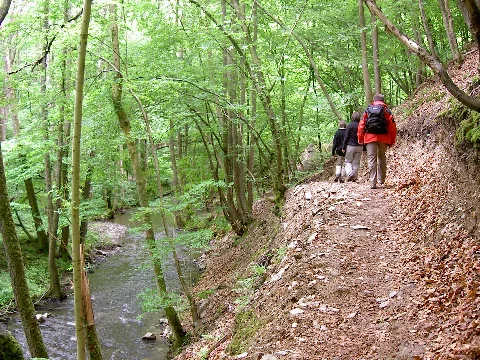 Brexbach 2008 05 01