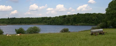 Brinkenweiher Lake Westerwald Germany
