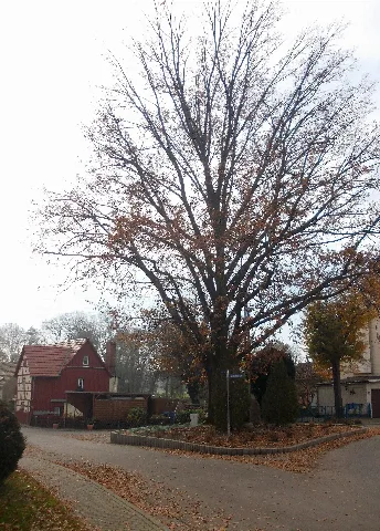 Brossendorf Mühl