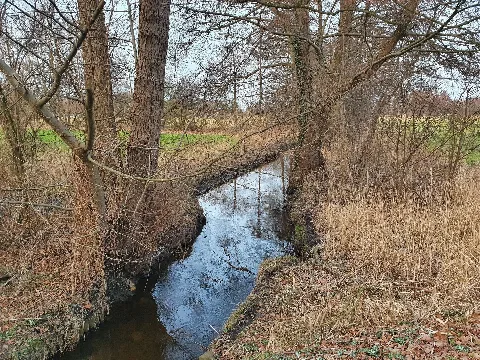 Bruchwiesenbach (Wiedau)