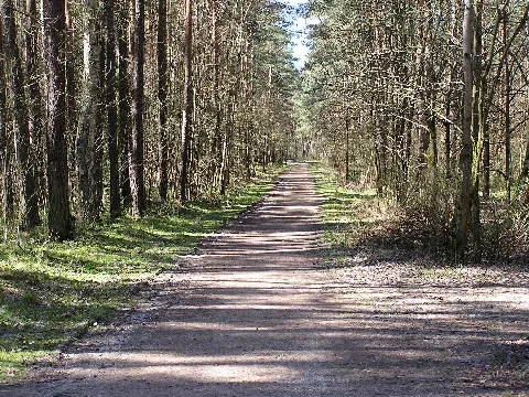 Bruckerlache3