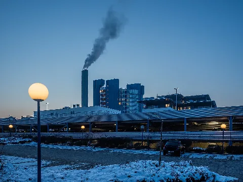 Bruderwald 220116 1225374