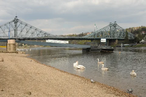 Brücke Blaues Wunder 01