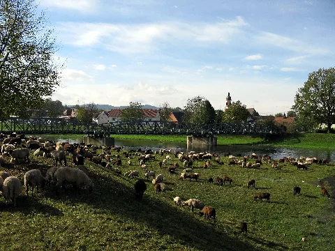 Brücke Der Kaiserstuhlbahn Über Die Elz In Riegel