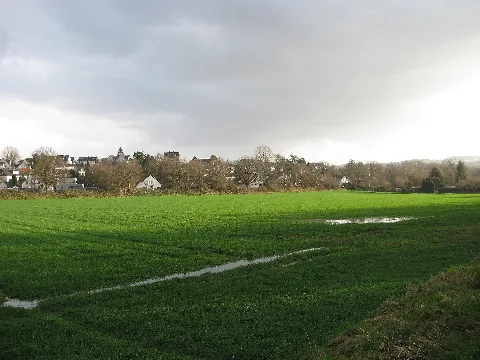 ein Feld neben der Straße Brückenkamp in Witten-Hevern, über den Damm im Hintergrund verlief früher die Straßenbahnlinie nach Herbede