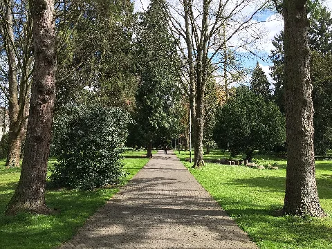 Brühl Alter Friedhof Blick Nach Osten