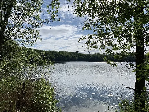 Brühl Untersee Blick Nach Südosten