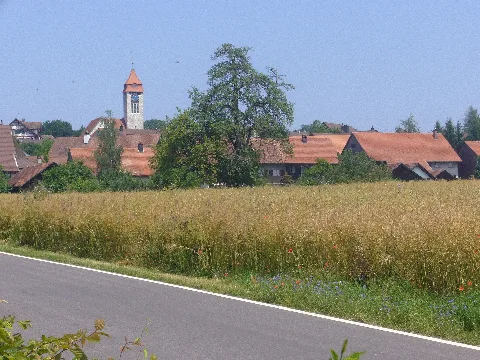 Brütteni