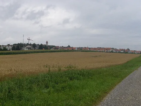 Brüttenii