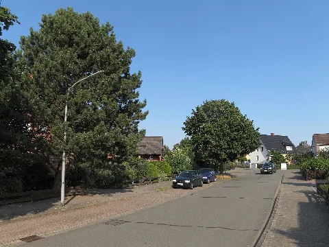 Bs Auf Der Moorhuette
