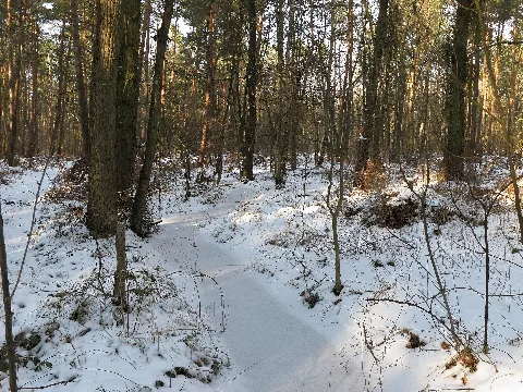 Bs Bachlauf Querum Nd Bs23