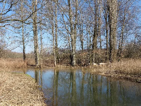 Bs Mittelriede Mündung