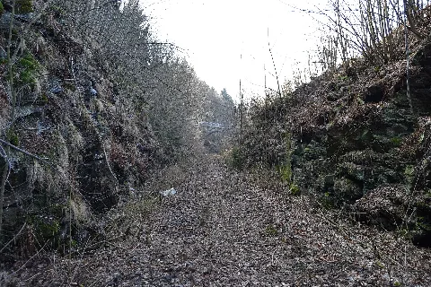 Bs Reitzenhain–Flöha Gleislos 2014 (3)