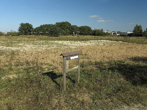 Bs Sandmagerrasen