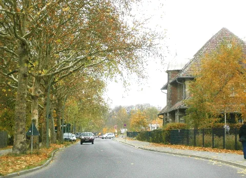 Buch Lindenberger Weg 2