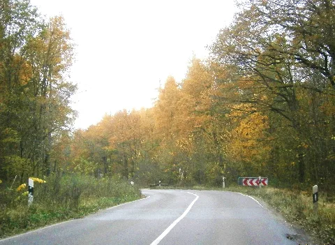 Buch Wiltbergstraße Nw2