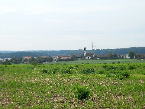 Buchenhüll (1)