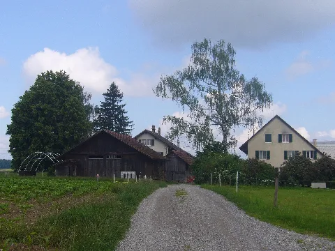 Büchliii