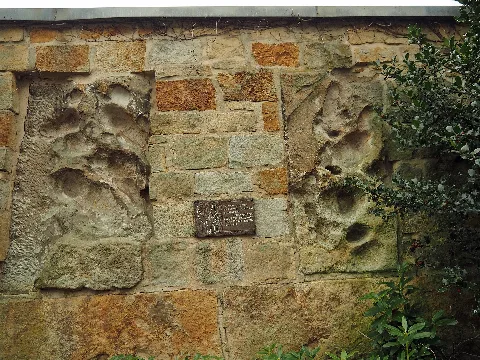 Bückeburg Saurier Fußspuren Iguanodon