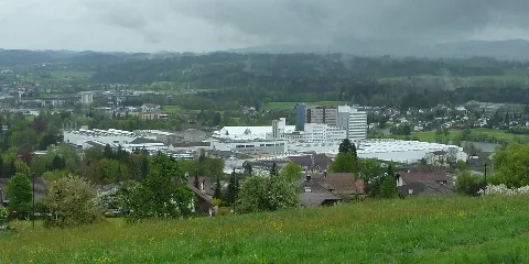 Bühlerareal