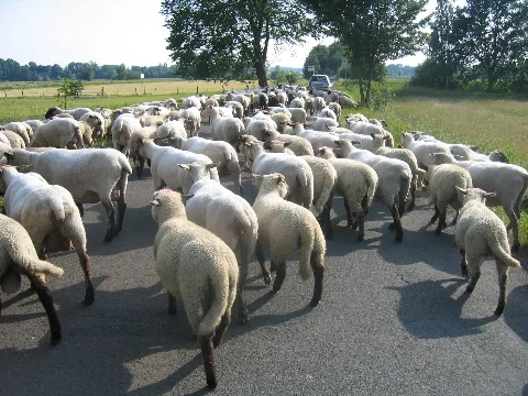 Bünde, Bruchmühlen, Kilver Juni 2009 038