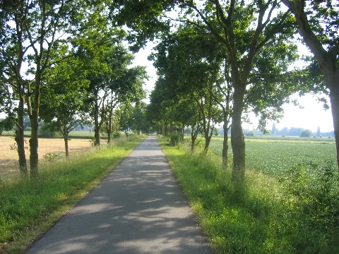 Bünde, Bruchmühlen, Kilver Juni 2009 039