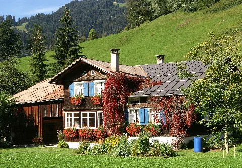 Buildingsschoppernau2