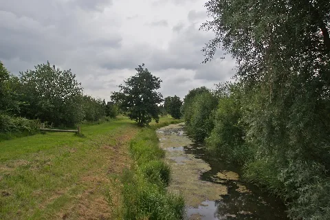 Bullertwettern