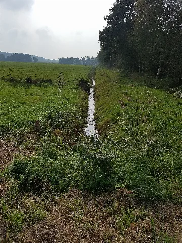 Bultgraven 1