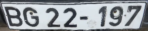 Bundesgrenzschutz License Plate