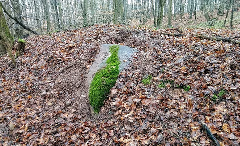Bunker Hilgenbachstellung 9