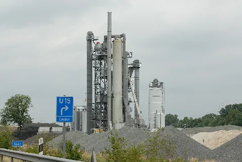 Bunte Plant At A 31