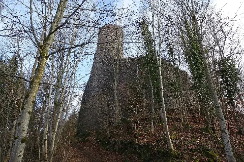 Burg Bärenfels Bei Wehr (Baden) 2016 Südansicht